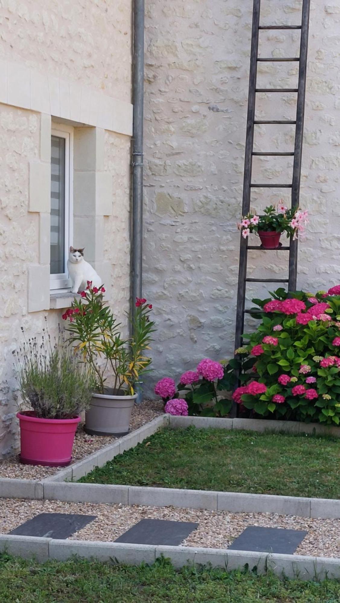 Gite Amanala Poitou Saint-Genest-d'Ambiere Dış mekan fotoğraf